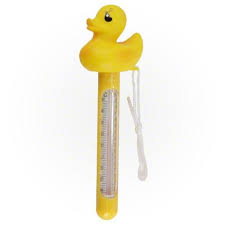 Duck Floating Thermometer